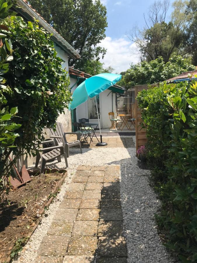 Appartement Entre Ocean Et Montagne 15Bis Avenue De Montbrun Anglet Eksteriør billede